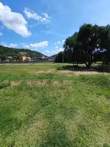 20230420192435156