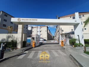 InShot_20260320_202004999